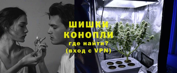 крисы Горнозаводск