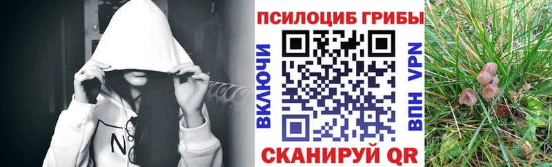 Галлюциногенные грибы Psilocybine cubensis  Купить закладки  Верхняя Тура 